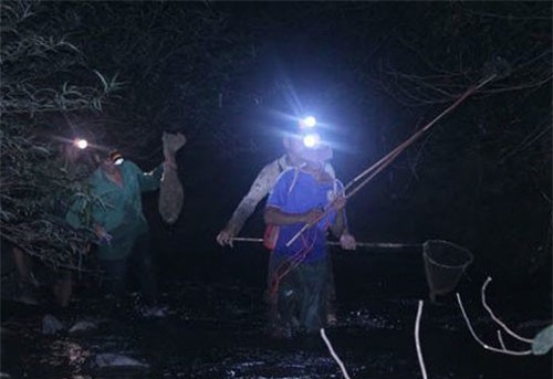 Đêm săn 'vũ nữ chân dài' ở miền gái đẹp xứ Tuyên