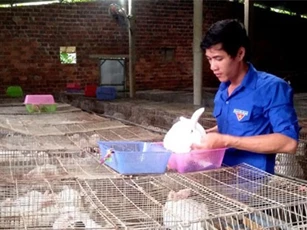 Chàng trai trẻ nuôi thỏ, nuôi trùn Ấn Độ, lãi 12 triệu/tháng