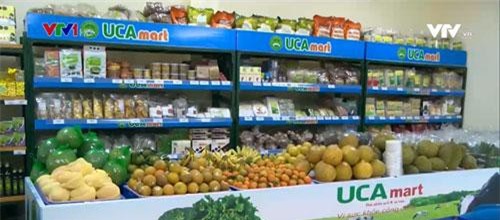 Ra mắt Liên hiệp HTX tiêu thụ nông sản an toàn Việt Nam