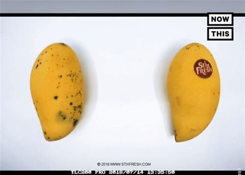 Khó tin chiếc nhãn dán giúp trái cây tươi lâu hơn 10 ngày và an toàn tuyệt đối!