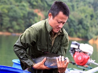 Nghệ An: Đổi đời nhờ nuôi những loài cá đặc sản trên hồ Hủa Na