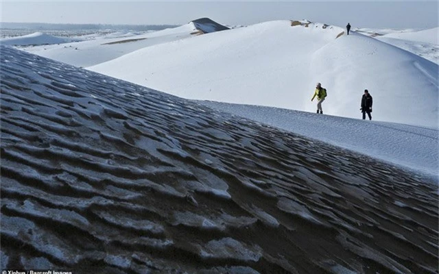Tuyết phủ trắng xóa một đụn cát ở sa mạc Trung Quốc (Ảnh: Xinhua)