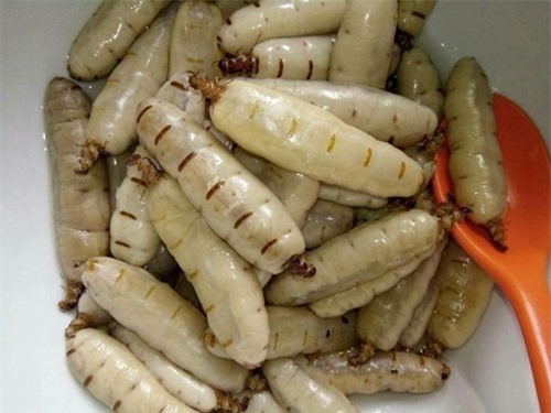 Đại gia Việt đua nhau 'săn' mối chúa rừng về ngâm rượu tẩm bổ