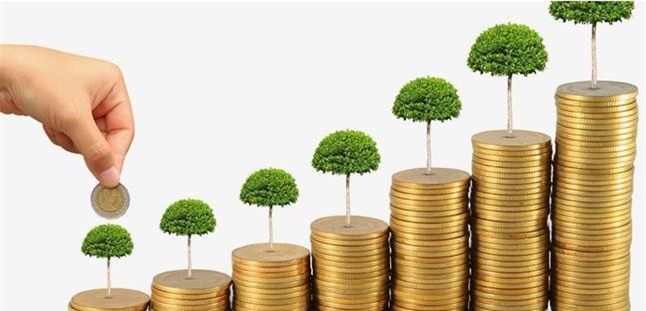 Kê khai khống vốn điều lệ sẽ bị xử lý như thế nào? 