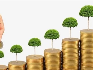 Kê khai khống vốn điều lệ sẽ bị xử lý như thế nào?