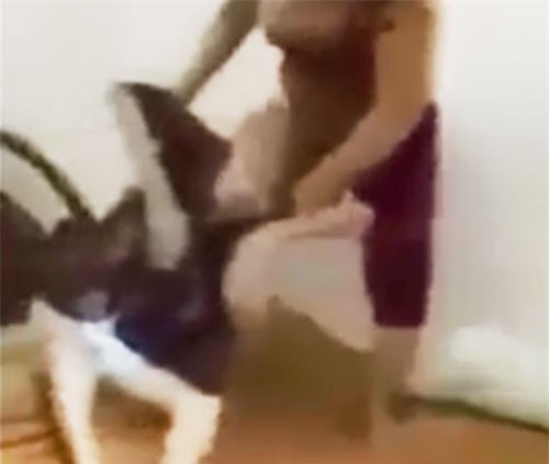 Sóc Trăng: Khởi tố người giúp việc hành hạ cụ bà trên 90 tuổi