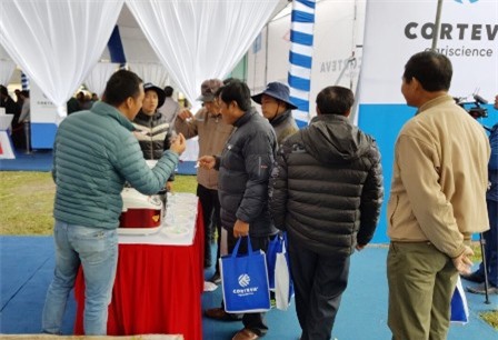 Ra mắt Mô hình Canh tác lúa lai mới đầu tiên tại Việt Nam