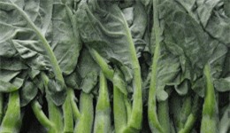 Clip: Công dụng chữa 'bách bệnh' của các loại rau ít người biết