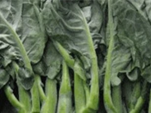 Clip: Công dụng chữa 'bách bệnh' của các loại rau ít người biết