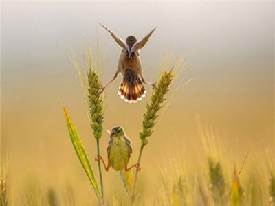 Những bức ảnh du lịch đẹp nhất năm 2018 khiến mọi người chỉ muốn xách balo lên và đi ngay