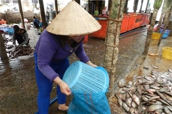 bi an chuyen thuong lai thu mua vay ca, bao nhieu cung khuan sach hinh anh 3