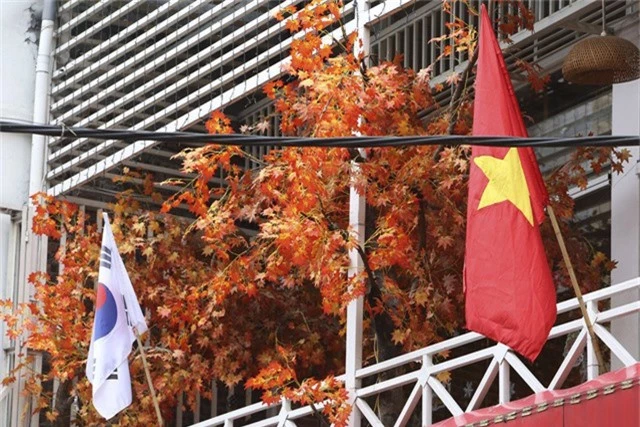 Xuất hiện nhiều lá cờ Hàn Quốc cùng cờ Việt Nam trên đường phố.