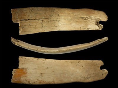 Phát hiện vương miện kì lạ 50.000 năm tuổi ở Siberia