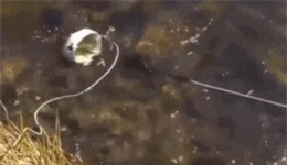 Clip: Độc đáo với thiết bị sạc điện thoại chỉ nhờ... gió và nước