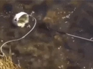 Clip: Độc đáo với thiết bị sạc điện thoại chỉ nhờ... gió và nước