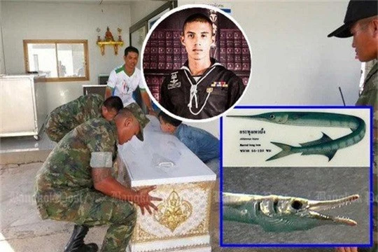  Thượng sĩ Kriengsak Best Pengphinit bị cá cắt cổ họng và tử vong. Ảnh: The Bangkok Post 