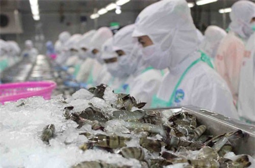 Xuất khẩu tôm sang Anh có nhiều triển vọng