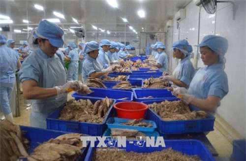 Khắc phục 'thẻ vàng' IUU: Phát triển nghề cá theo thông lệ quốc tế