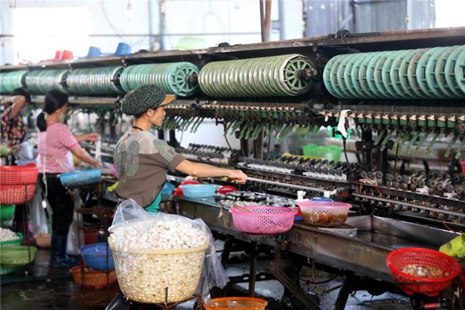 Forbes: Việt Nam sẽ "ngư ông đắc lợi" từ cuộc chiến thương mại Mỹ - Trung 