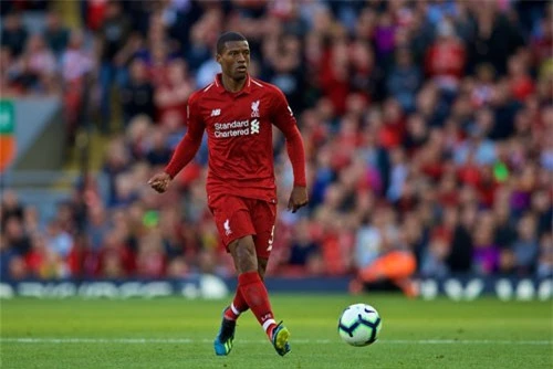 Tiền vệ: Georginio Wijnaldum (Liverpool).