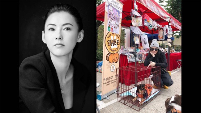 Hóa ra đây là lý do Trương Bá Chi muốn sinh con thứ 3