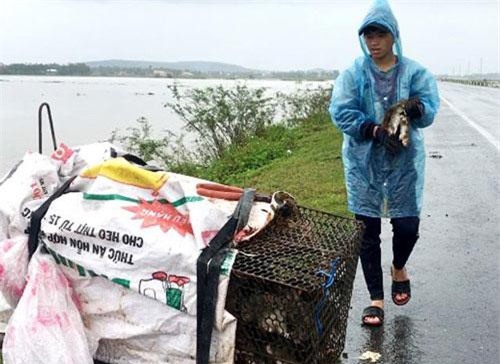 Cận cảnh: Nông dân xứ Quảng bắt chuột như làm xiếc, mỗi ngày thu cả tạ chuột