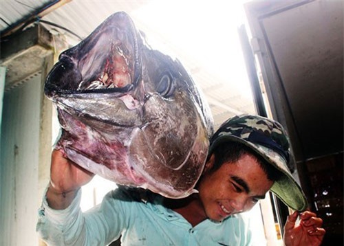 Vua săn 'cọp biển' xây biệt phủ ở Bình Định