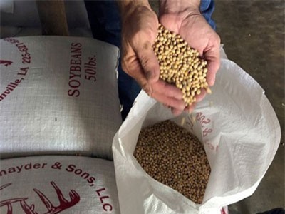 Mỹ hỗ trợ thêm 4,9 tỷ USD cho nông dân bị ảnh hưởng bởi chiến tranh thương mại