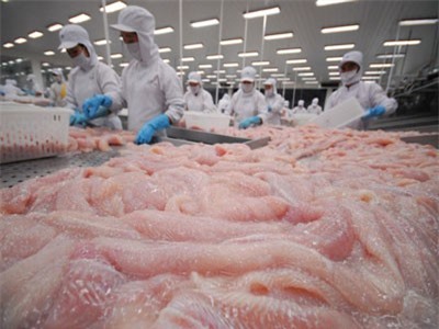 Giá trị xuất khẩu cá tra bất ngờ đạt mức cao nhất từ trước đến nay