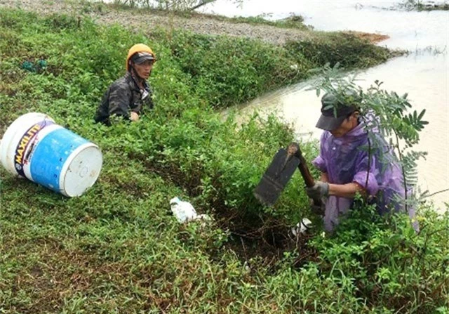 can canh: nong dan xu quang bat chuot nhu lam xiec, moi ngay thu ca ta chuot hinh anh 2