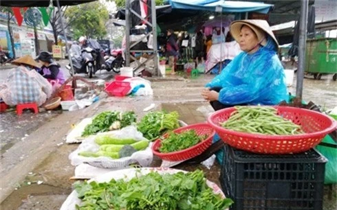 da nang sau mua lu, gia rau xanh tang manh hinh 1