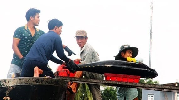 Vua săn 'cọp biển' xây biệt phủ ở Bình Định