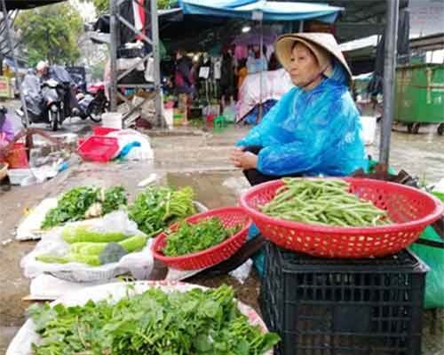 Đà Nẵng sau mưa lũ, giá rau xanh tăng mạnh