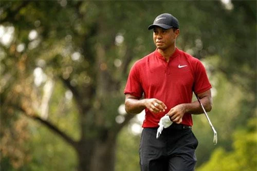 = 9. VĐV gofl Tiger Woods - 800 triệu USD.