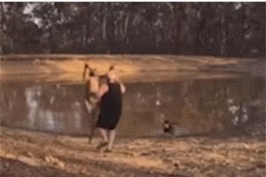 Clip: Người đàn ông đánh nhau với kangaroo để bảo vệ chó cưng