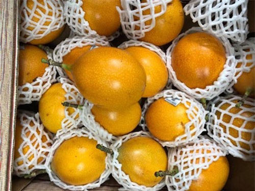 Kỳ lạ loại chanh leo có vị ngọt, giá hơn 100.000 đồng/quả