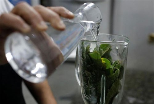 Clip: Người dân Venezuela dùng lá cây chữa… HIV