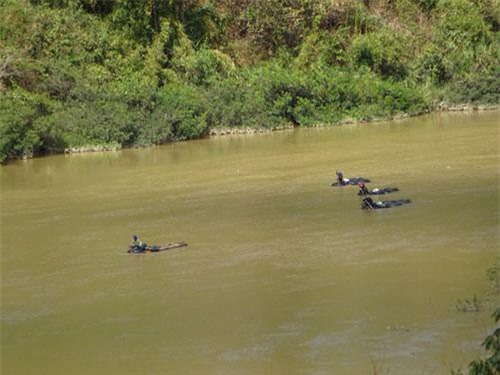 Kon Tum: Truy bắt đoàn gỗ lậu ngang nhiên vượt sông giữa ban ngày