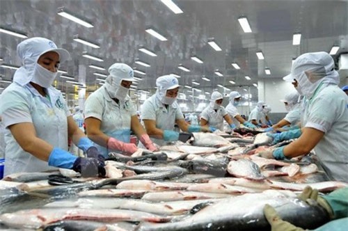 Mỹ trở thành nước nhập khẩu cá tra lớn nhất của Việt Nam