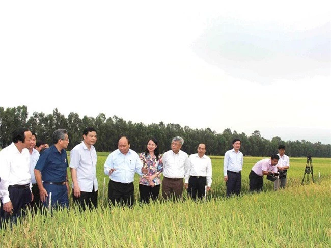 Thế mạnh của An Giang là phát triển nông nghiệp (Ảnh: Nguyễn Chuẩn)