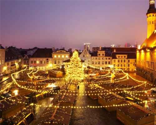 Chiêm ngưỡng những cây thông Noel 'độc, lạ' nhất thế giới