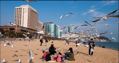 Những điểm đến tuyệt đẹp ở thành phố du lịch tốt nhất châu Á Busan