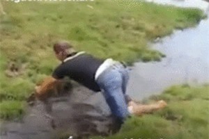 Clip: Cha bế con té sấp mặt khi cố gắng nhảy qua vũng nước