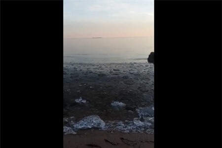 Clip: Lắng nghe 'buổi hòa nhạc' hay không ngờ từ thiên nhiên 