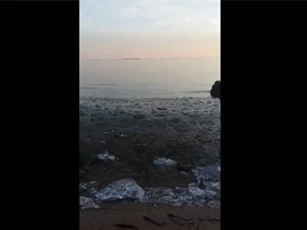 Clip: Lắng nghe 'buổi hòa nhạc' hay không ngờ từ thiên nhiên