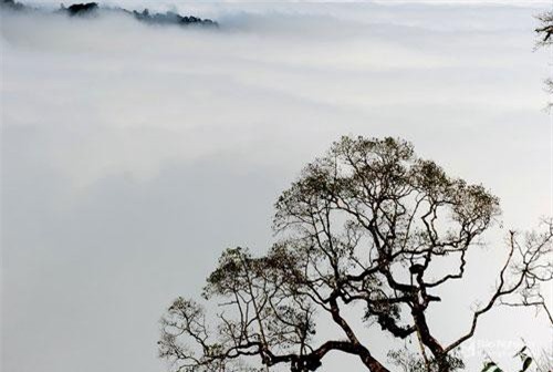 Lạc bước vào chốn 'bồng lai tiên cảnh' xứ Nghệ