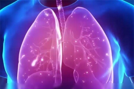 Clip: Phổi sẽ được lọc sạch nếu bạn ăn 5 thực phẩm này thường xuyên