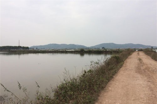 Người phụ nữ bán cá bị sát hại ở Bắc Giang: Nghi phạm là bạn thân của nạn nhân