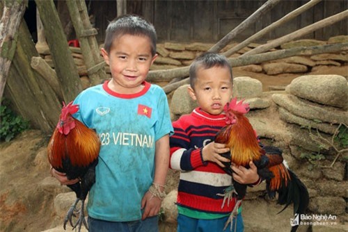 Độc đáo thú cưng của trẻ em bản vùng cao Nghệ An