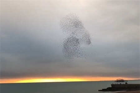 Clip: 'Trái tim khổng lồ' bất ngờ xuất hiện giữa bầu trời